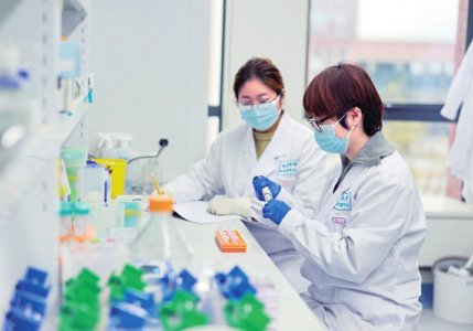 川渝两地合作科研团队成员在金凤实验室进行研究工作。新华社记者 刘潺 摄