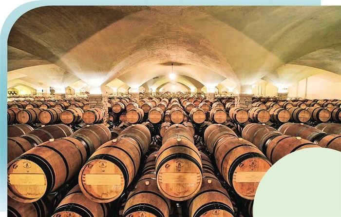     图为河北怀来长城桑干酒庄地下酒窖。 （资料图片）