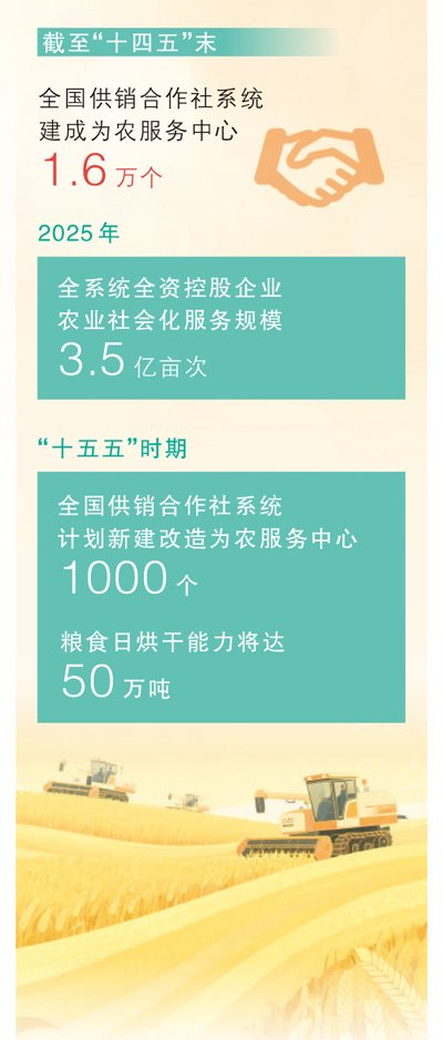 　　数据来源：中华全国供销合作总社　　制图：蔡华伟