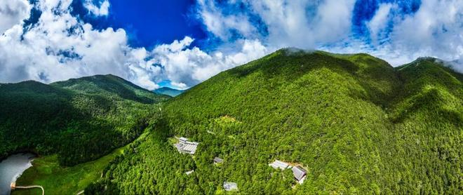 云南丽江森林生物多样性国家野外科学观测研究站。（文汇报记者袁婧摄）