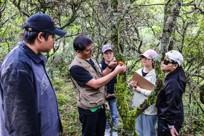 范中玉为学生示范如何测量树木胸径。（文汇报记者袁婧摄）