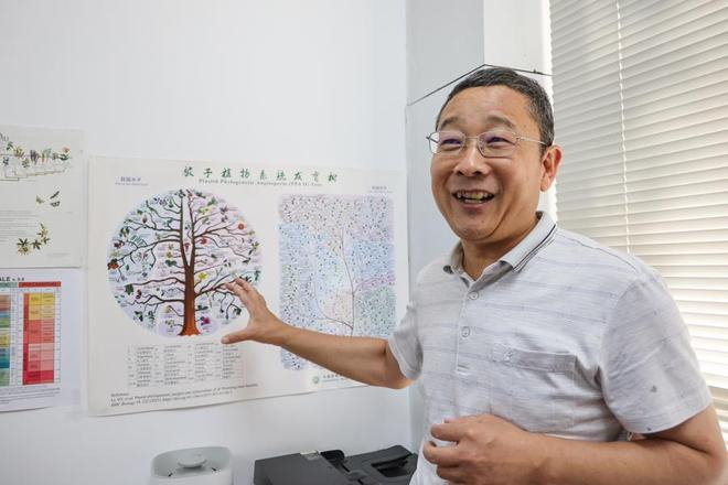 伊廷双向记者介绍被子植物系统发育树。（文汇报记者袁婧摄）