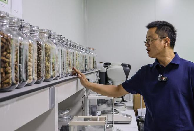 蔡杰团队不断优化流程，压缩种子从野外采集到入库处理的流程。（文汇报记者袁婧摄）