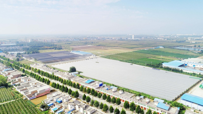 图为福瑞滋标准化育苗基地。