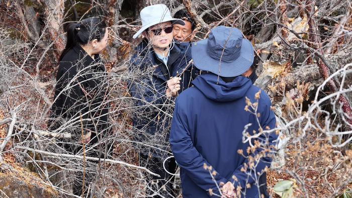 湖北省第十一批援藏工作队林业小组与山南市林业部门干部在加查县红桦林进行调研。