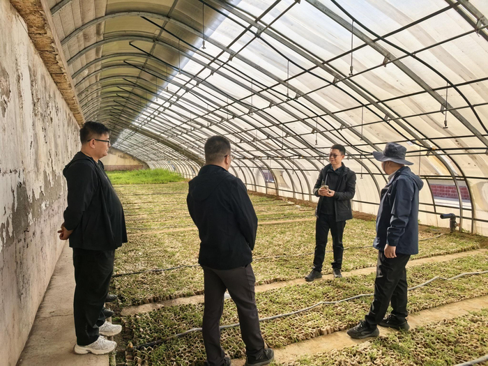 湖北省第十一批援藏工作队林业小组与山南市林业部门干部在青海省国有林场苗圃调研。