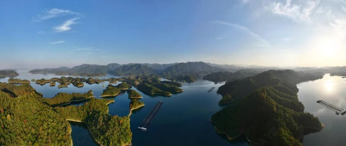 图注:鲟龙科技千岛湖养殖基地 