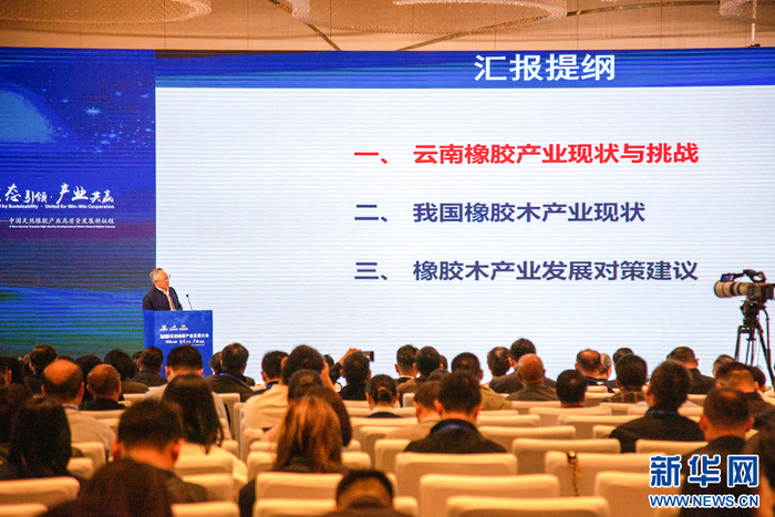 杜官本在会上作主旨演讲（10月30日摄）。新华网发（杨桢宇 摄）
