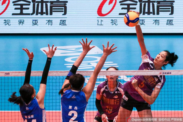 2019年体坛年度盘点：朱婷本婷