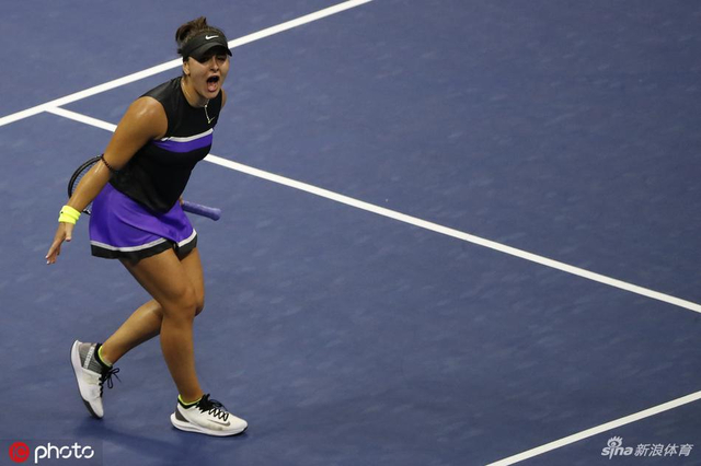 美网安德莱斯库首进大满贯决赛