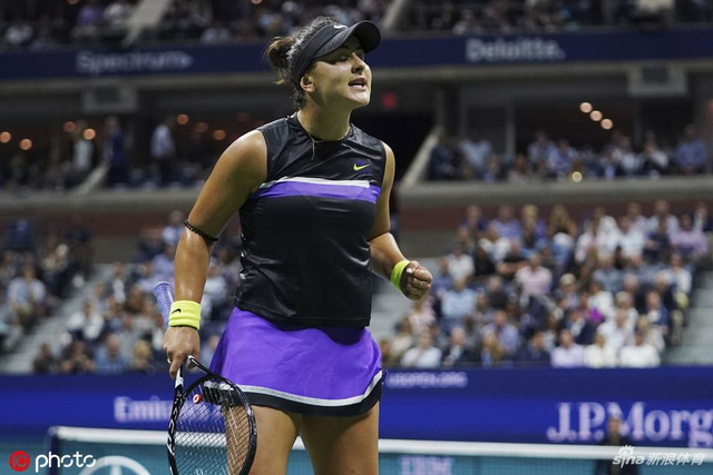 美网安德莱斯库首进大满贯决赛