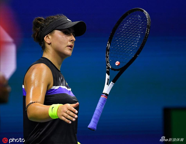 美网安德莱斯库首进大满贯决赛