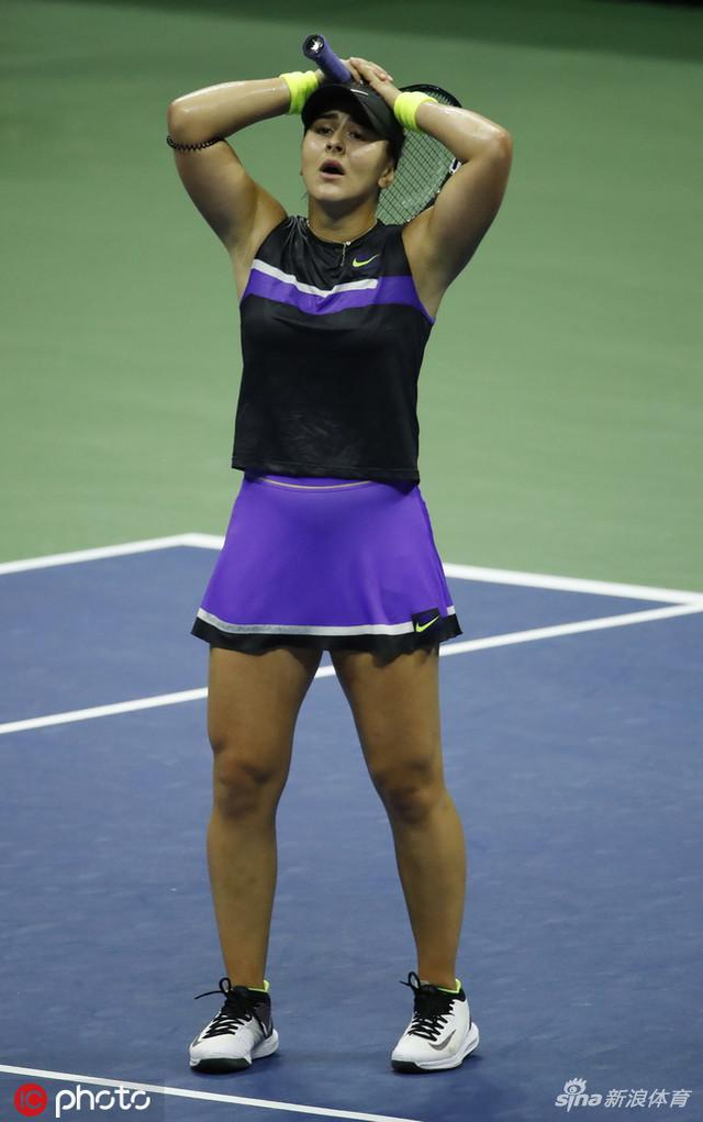 美网安德莱斯库首进大满贯决赛