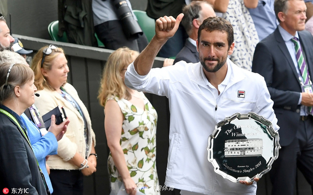 西里奇收获温网亚军
