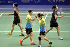 全运会羽毛球女双骆赢骆羽夺冠