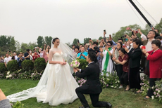 新郎手捧鲜花单膝跪地求婚惠若琪