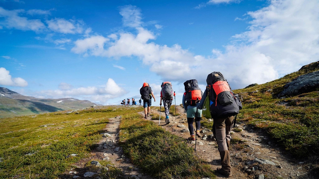 2019瑞典北极狐经典穿越落幕