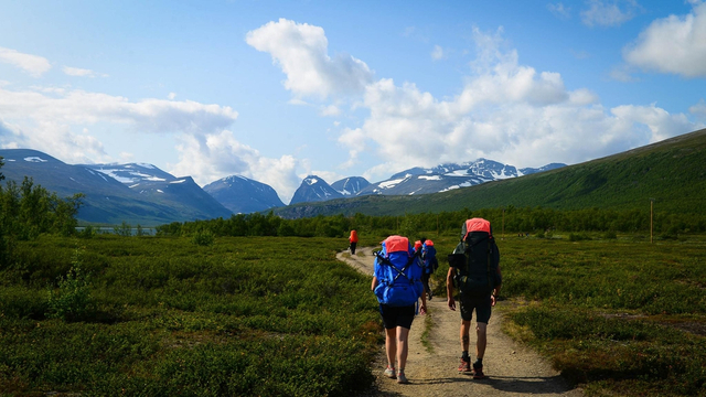 2019瑞典北极狐经典穿越落幕