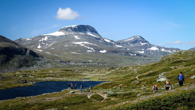 2019瑞典北极狐经典穿越落幕