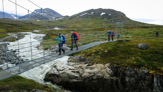 2019瑞典北极狐经典穿越落幕