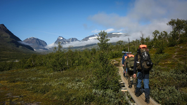 2019瑞典北极狐经典穿越落幕