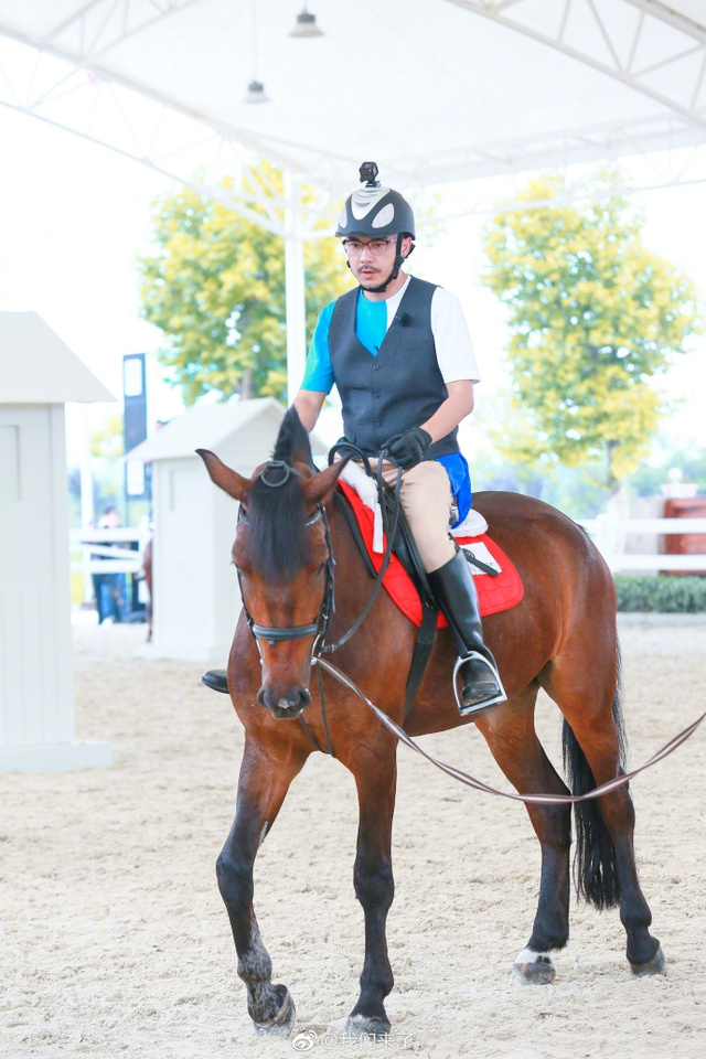 8           著名节目主持人汪涵在其最新一期综艺中玩起了马术,在