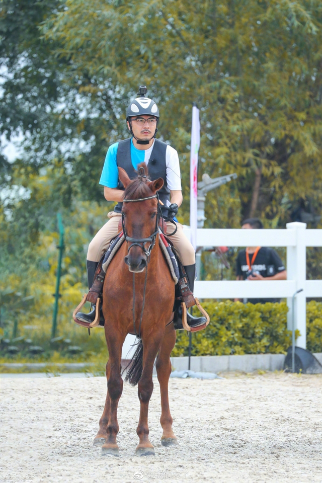 8           著名节目主持人汪涵在其最新一期综艺中玩起了马术,在