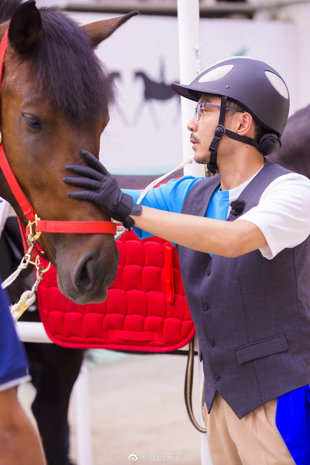 8         著名节目主持人汪涵在其最新一期综艺中玩起了马术,在