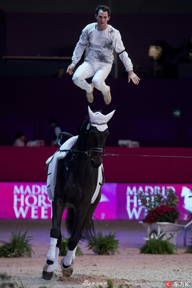 人马合一 马上杂技表演