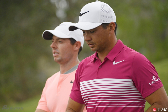 戴伊与小麦同组