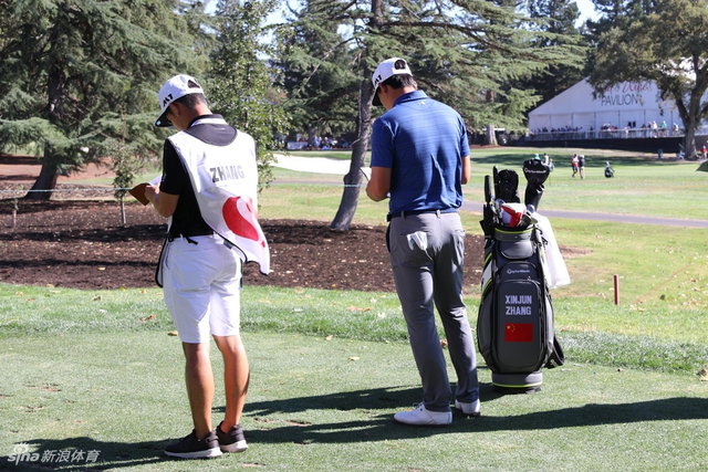 张新军研读码数本