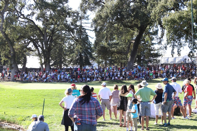 围观张新军一组球迷