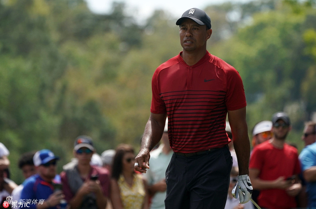 老虎决赛稍显哑火