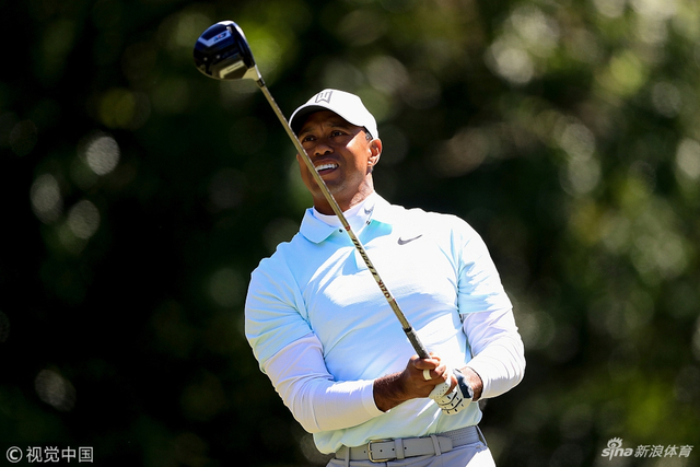 老虎拿出一号木