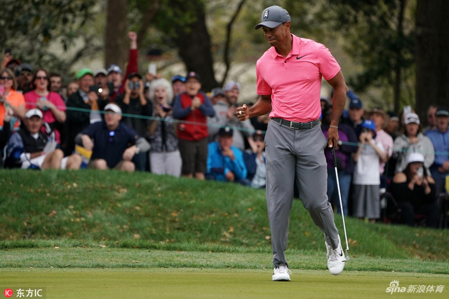 熟悉的老虎又回来了