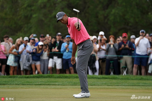 果岭上的那只虎