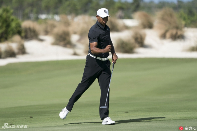 标志性老虎握拳