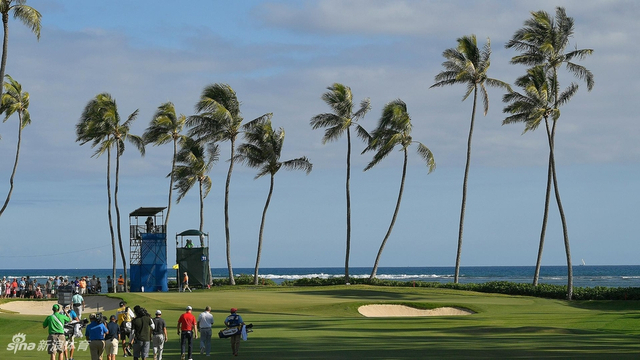 赛事举办地夏威夷瓦勒莱伊度假村