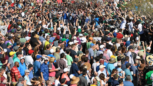 你能找到老米吗