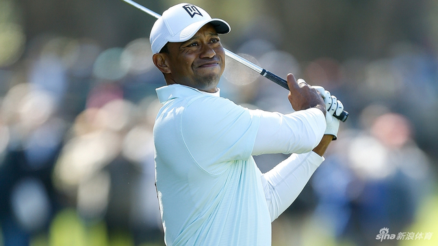 老虎打出六字头