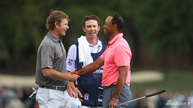 斯内德克尔同组老虎