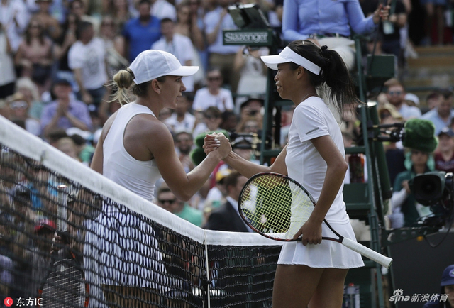 温网哈勒普1-2谢淑薇