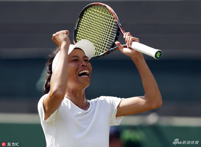 温网哈勒普1-2谢淑薇