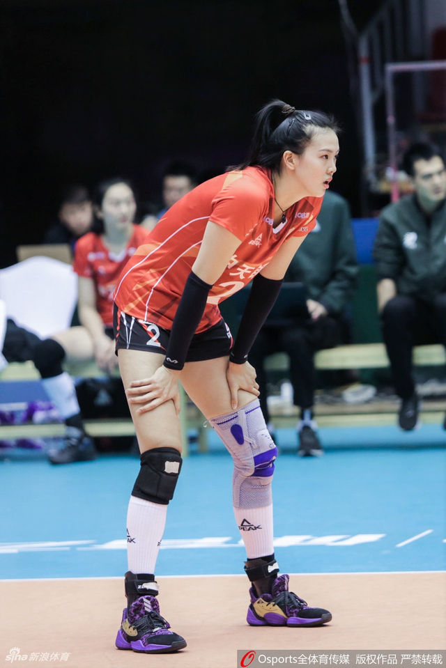 排超江苏3-0辽宁获得第五名