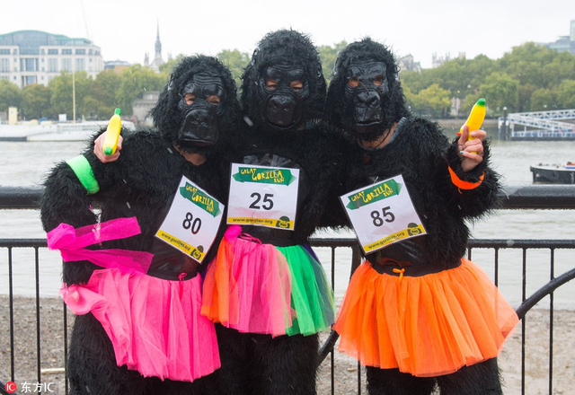 伦敦举办年度大猩猩跑