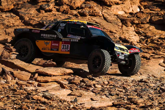 图集-2021年达喀尔拉力赛SS3