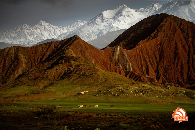 图集-2023环塔拉力赛SS1赛段