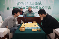 图集-第二届晋城全国职业围棋公开赛半决赛 党毅飞VS丁浩