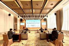 图集-第十九届“阳山杯”中国围棋棋王争霸赛八强战