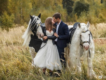 马尚人生婚礼组图